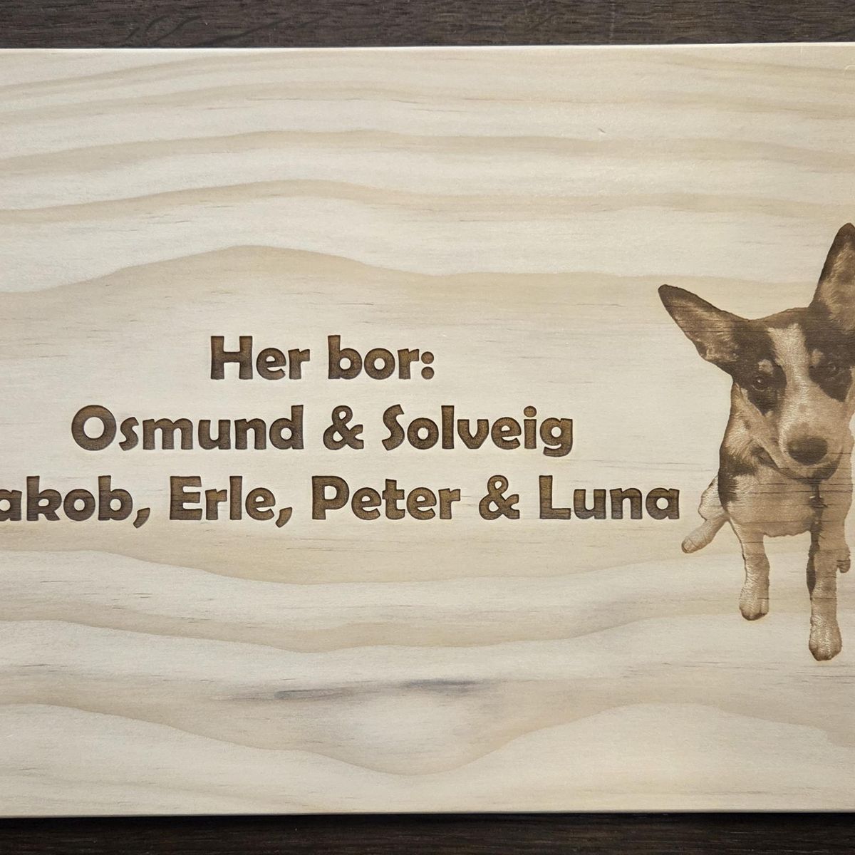 DØR OG POSTKASSESKILT I ACCOYA