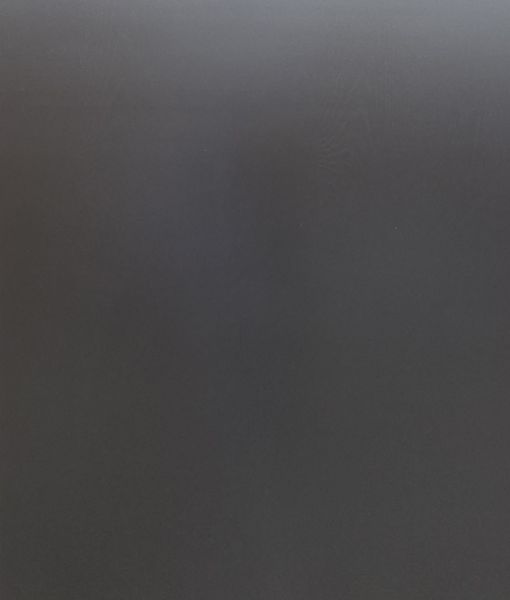 Hovedbilde KRYSSFINER PLATE 12X2440X1220 MED EIK FINER PÅ ...